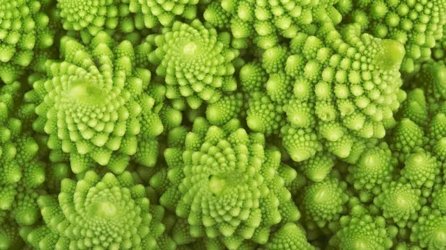 Brócolis romanesco