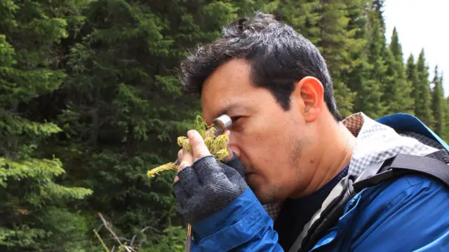 Juan Carlos Villarreal