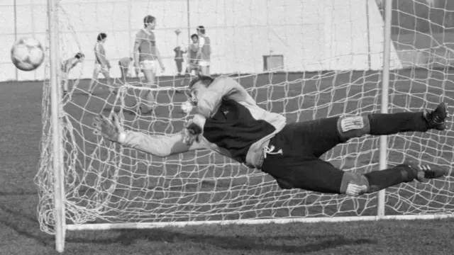 Виктор Чанов