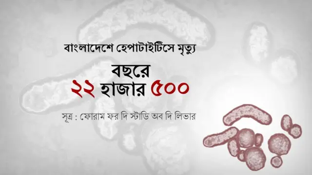 জরিপ তথ্য: বাংলাদেশে হেপাটাইটিসে আক্রান্ত হয়ে বছরে ২২ হাজার ৫০০ মানুষের মৃত্যু ঘটছে