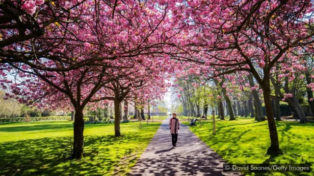 కొద్దిపాటి వాకింగ్ లాంటివి మెదడుపై పడే ప్రభావాన్ని తగ్గించవచ్చు