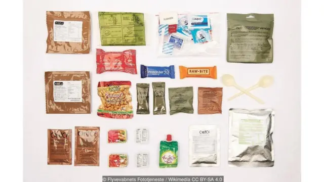 Danimarka asker kumanyası