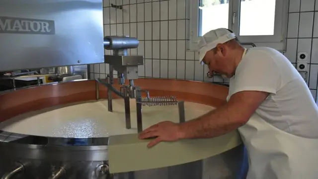 Мала бела скута се формирала у огромној бакарној бачви