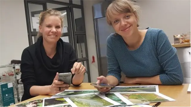 పీట్ బృందం