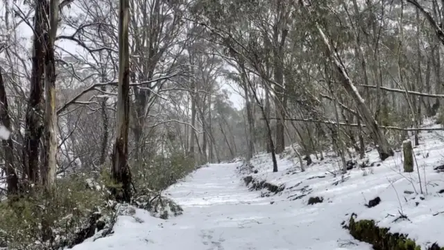 ऑस्ट्रेलिया में बर्फबारी