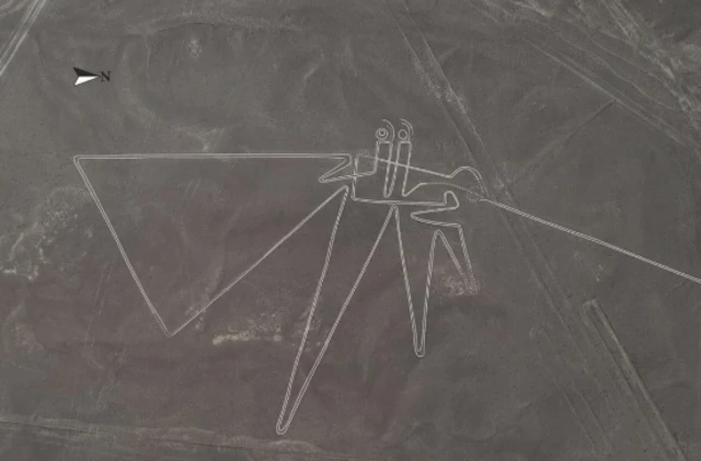 หนึ่งในภาพลายเส้นที่ค้นพบใหม่มีความกว้างกว่า 100 เมตร นักโบราณคดีคิดว่าเป็นรูปนกชนิดหนึ่ง