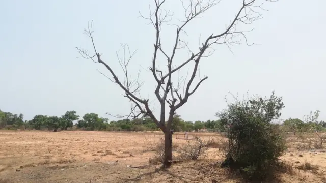 முள்ளிவாய்க்கால்