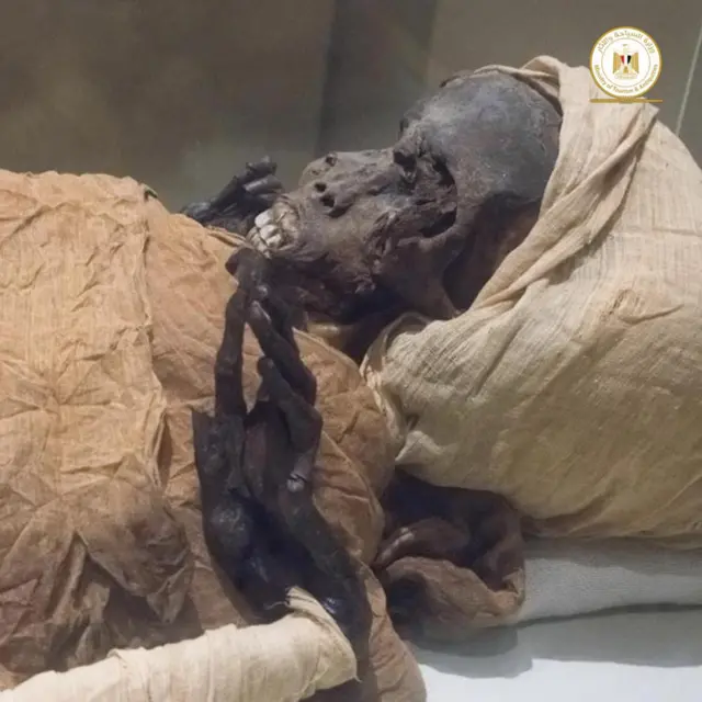 Vanna Sterling bilan porno