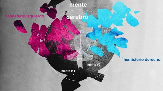 Ilustración de la idea de que hay múltiples cerebros