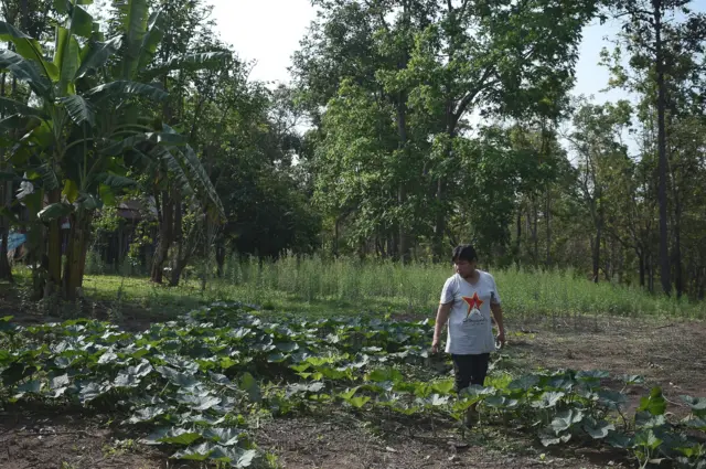 สุภาพ คำแหล้ เด่น คำแหล้ ทวงคืนผืนป่า คสช