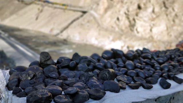 कालीगण्डकीमा पाइने शालिग्राम