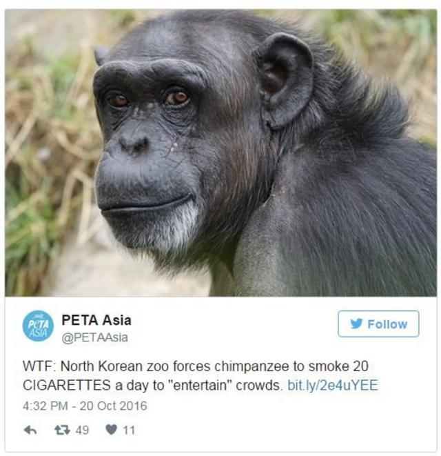 PETA Asia tweeti