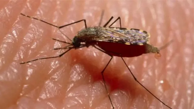 Jin ursin Tatyana Izhevskdagi jinsiy sherik