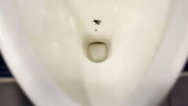 โถปัสสาวะในห้องน้ำของสนามบินสคิปโฮลที่เนเธอร์แลนด์ มีรูปแมลงเล็ก ๆ ติดอยู่