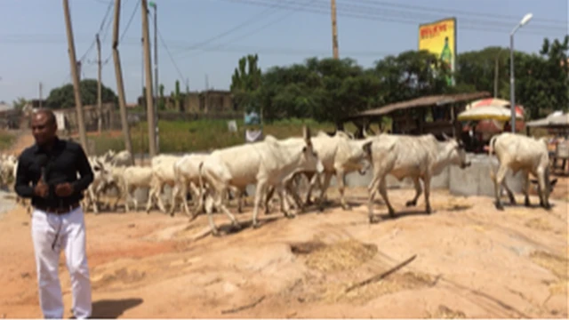 Benue anti-Grazing Law
