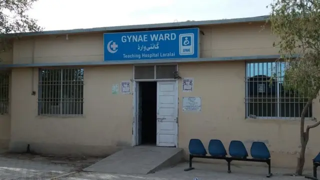 د مور ماشوم څانګه چې د جمیلې لور ترې غلا شوې وه.