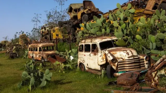 ዝዓነወ ኣጽዋር