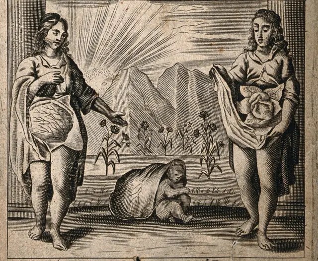 Аллегория акушерства