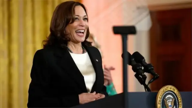 ભારતીયમૂળના શીર્ષ નેતાઓમાં અમેરિકન ઉપ-રાષ્ટ્રપતિ કમલા હૅરિસ પણ છે