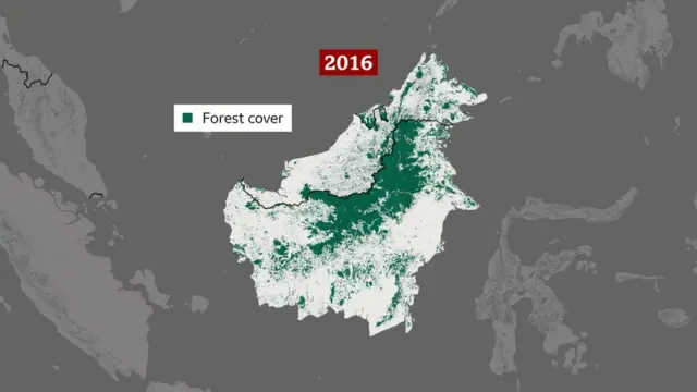 అటవీ ప్రాంతం