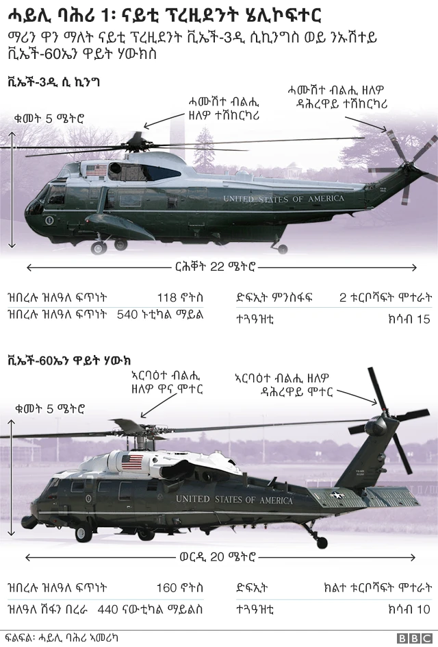 ነፈርቲ ትራምፕ