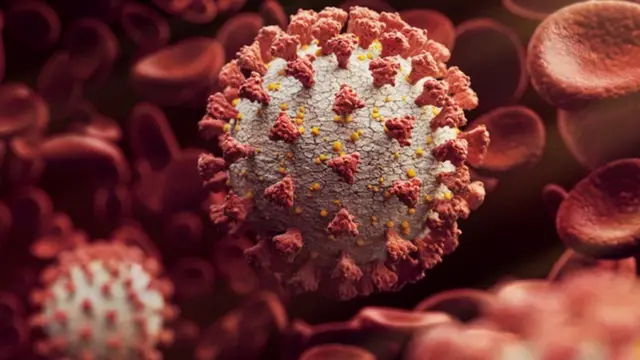 કોરોના વાઇરસના તમામ સ્વરૂપમાં પ્રોટીન હોય છે