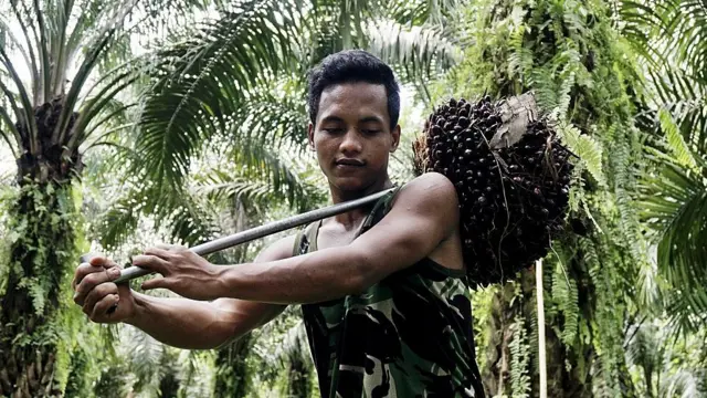 எண்ணெய்