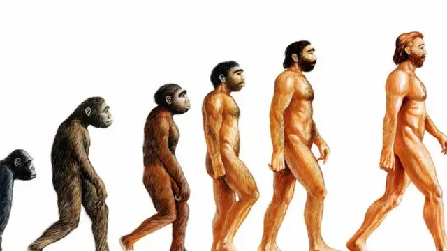 उत्क्रांती: माकड ते माणूस. पुढे काय?