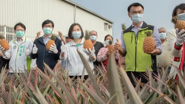 蔡英文到高雄鳳梨田推銷鳳梨
