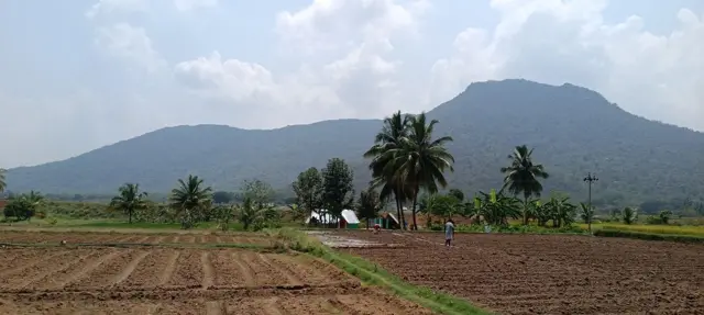 तमिलनाडु