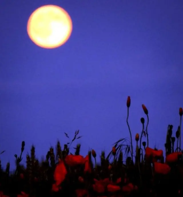 చంద్ర గ్రహణం