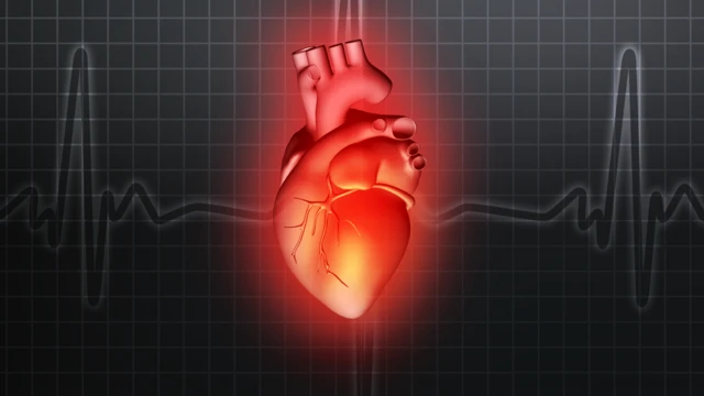 Ilustración del corazón