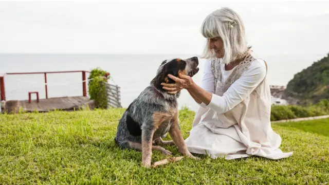 Novi molekularni uvidi u konverziju ljudskih u pseće godine koje obuhvata logaritamski zakon sugeriše da psi ulaze u srednje godine još brže nego što je većina vlasnika pasa podozrevala