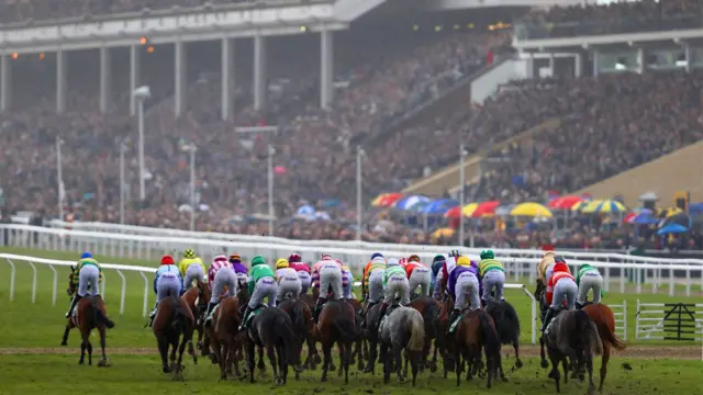 Dorgommii kan namni hangan baayyatu daawwatee hin beeku.