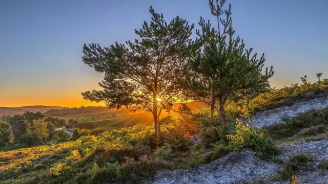 Summer sunrise in Ringwood, Hampshire, by Weather Watcher heath observer.