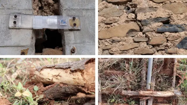 የአፄ ፋሲል ቤተ መንግሥት የደረሰበት ጉዳት