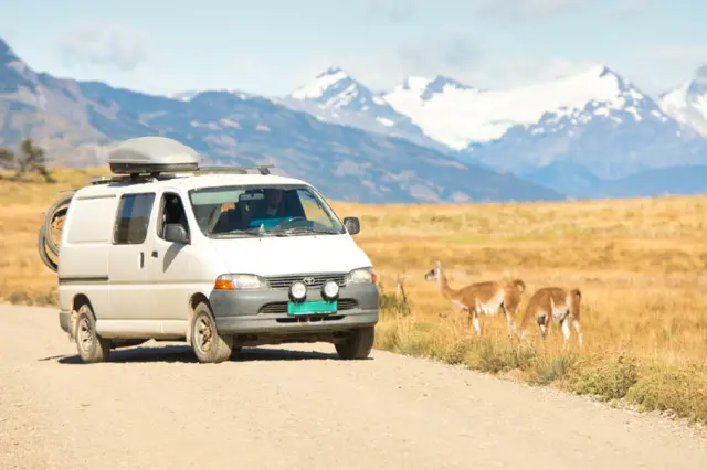 Radka and Ivar's van in Patagonia, with some local wildlife