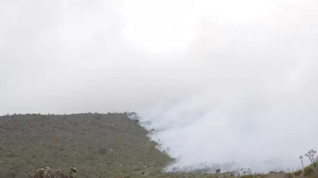 TANAPA