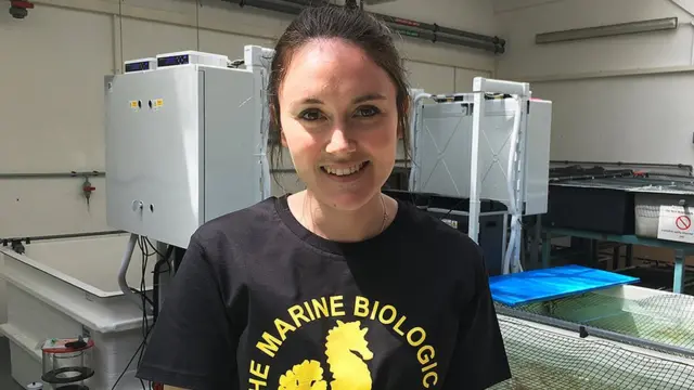 Эмили Салливан