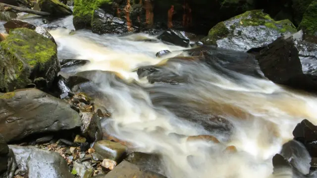 Umutwe wa MRCD uvuga ko umaze amezi 10 uri mu ishyamba rya Nyungwe