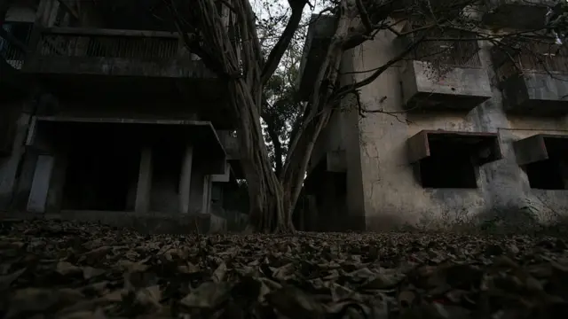 ગુલબર્ગ સોસાયટી