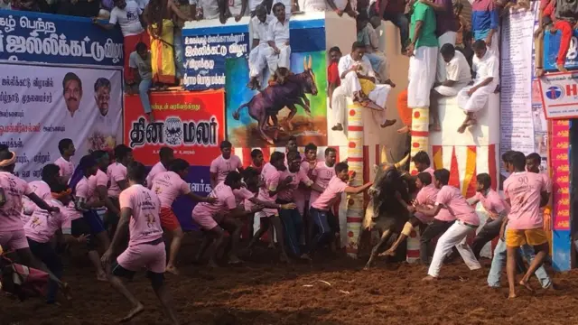 LIVE: விறுவிறுப்பாக நடந்து வரும் அலங்காநல்லூர் ஜல்லிக்கட்டு