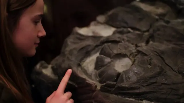 Evie staring into the eye of a marine reptile.