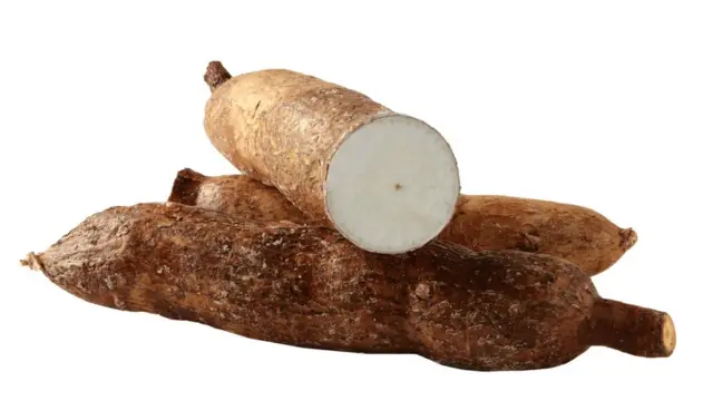 Yuca
