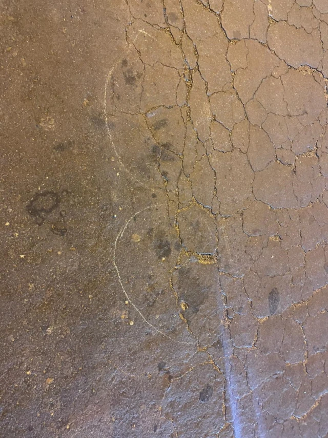 कंझावाला केस