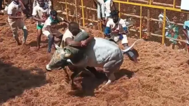 அவனியாபுரம் ஜல்லிக்கட்டு: 22 காளைகளை பிடித்தவருக்கு கார் பரிசு - முழு விவரம்