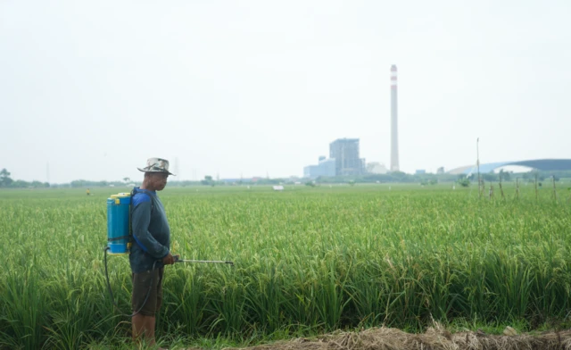 indramayu, kawasan industri, losarang
