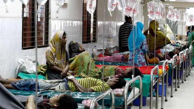 ডায়ারিয়ার প্রকোপ