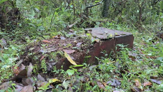 ధర్మస్థల, కర్ణాటక, మిస్టరీ అత్యాచారాలు, హత్యలు