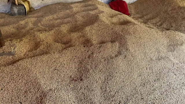 प्रवीण यांनी साठवलेली सोयाबीन